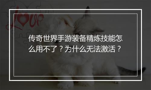 传奇世界手游装备精炼技能怎么用不了？为什么无法激活？