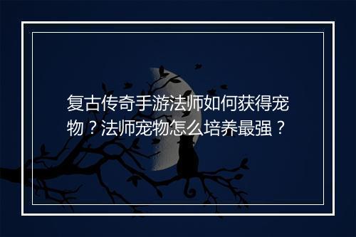 复古传奇手游法师如何获得宠物？法师宠物怎么培养最强？