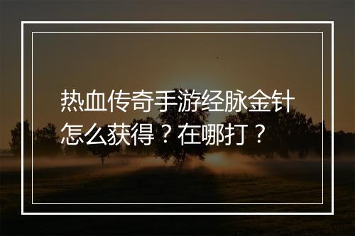 热血传奇手游经脉金针怎么获得？在哪打？