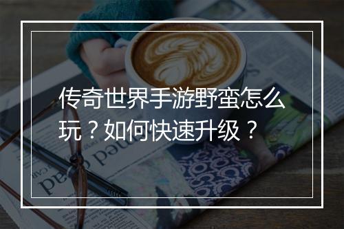 传奇世界手游野蛮怎么玩？如何快速升级？