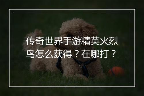传奇世界手游精英火烈鸟怎么获得？在哪打？