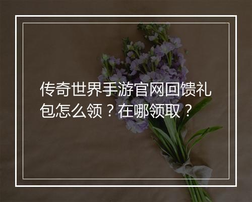 传奇世界手游官网回馈礼包怎么领？在哪领取？