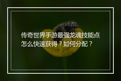 传奇世界手游最强龙魂技能点怎么快速获得？如何分配？