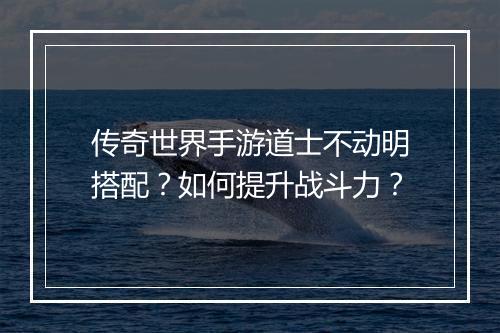 传奇世界手游道士不动明搭配？如何提升战斗力？