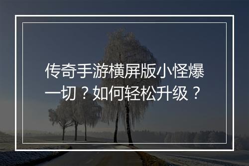 传奇手游横屏版小怪爆一切？如何轻松升级？