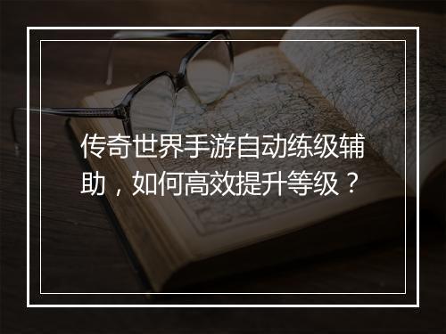 传奇世界手游自动练级辅助，如何高效提升等级？