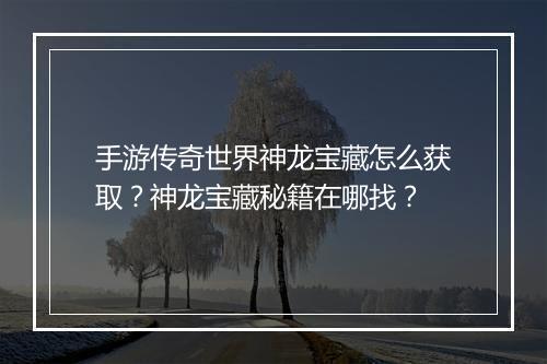 手游传奇世界神龙宝藏怎么获取？神龙宝藏秘籍在哪找？