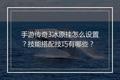 手游传奇3冰原挂怎么设置？技能搭配技巧有哪些？