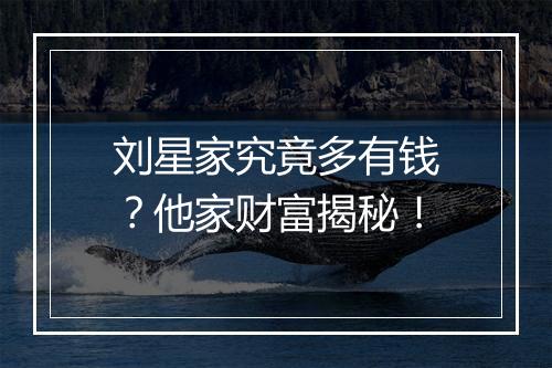 刘星家究竟多有钱？他家财富揭秘！