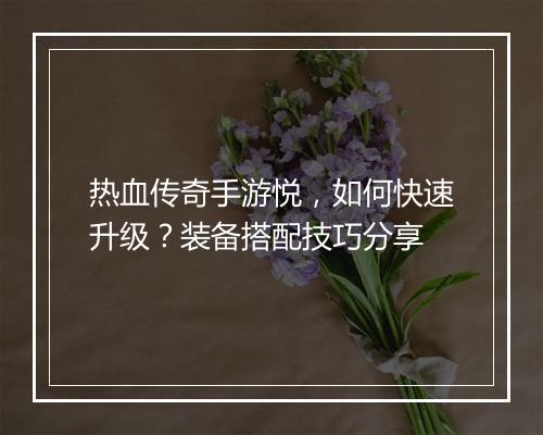 热血传奇手游悦，如何快速升级？装备搭配技巧分享