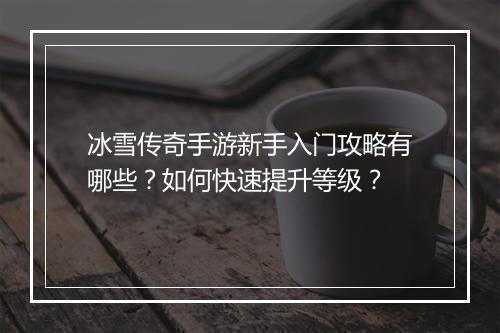 冰雪传奇手游新手入门攻略有哪些？如何快速提升等级？