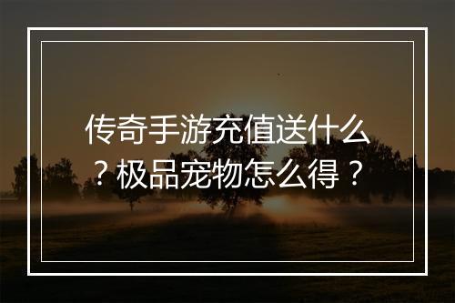 传奇手游充值送什么？极品宠物怎么得？