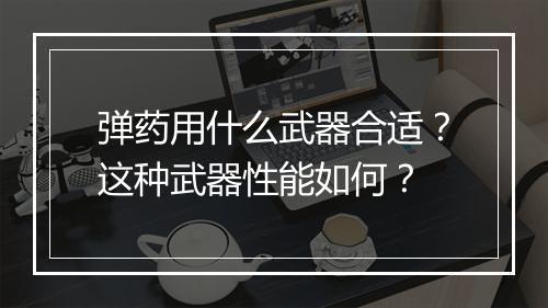 弹药用什么武器合适？这种武器性能如何？