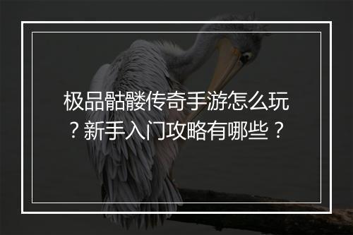 极品骷髅传奇手游怎么玩？新手入门攻略有哪些？