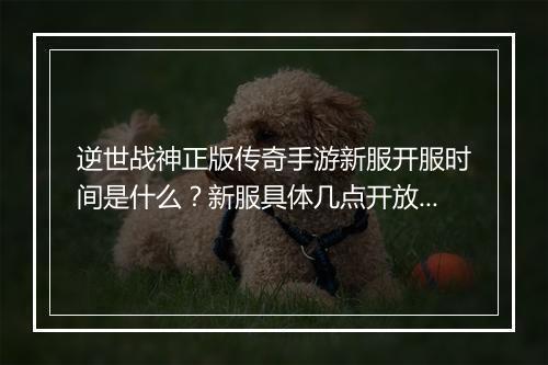 逆世战神正版传奇手游新服开服时间是什么？新服具体几点开放？