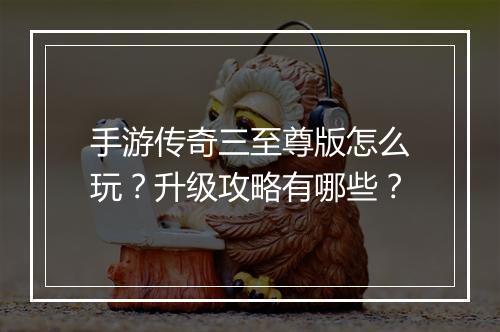 手游传奇三至尊版怎么玩？升级攻略有哪些？