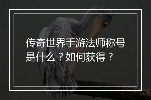 传奇世界手游法师称号是什么？如何获得？