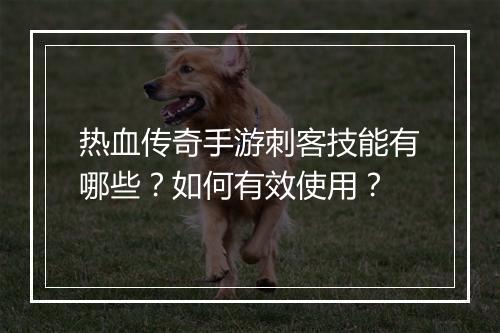 热血传奇手游刺客技能有哪些？如何有效使用？
