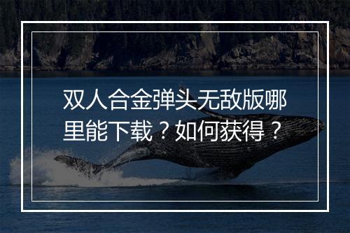 双人合金弹头无敌版哪里能下载？如何获得？