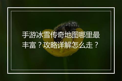 手游冰雪传奇地图哪里最丰富？攻略详解怎么走？