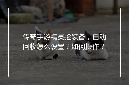 传奇手游精灵捡装备，自动回收怎么设置？如何操作？