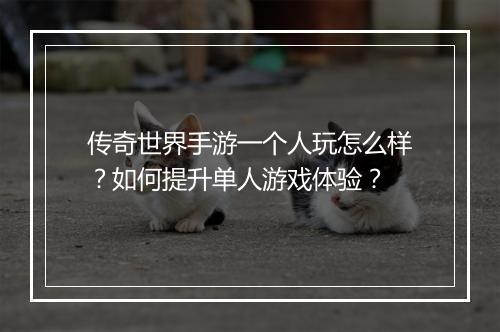 传奇世界手游一个人玩怎么样？如何提升单人游戏体验？