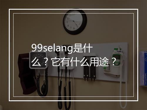 99selang是什么？它有什么用途？