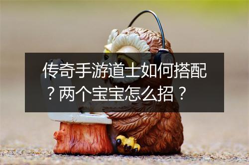 传奇手游道士如何搭配？两个宝宝怎么招？