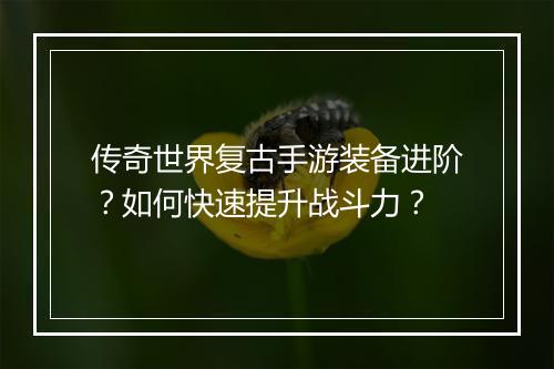 传奇世界复古手游装备进阶？如何快速提升战斗力？