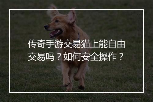 传奇手游交易猫上能自由交易吗？如何安全操作？