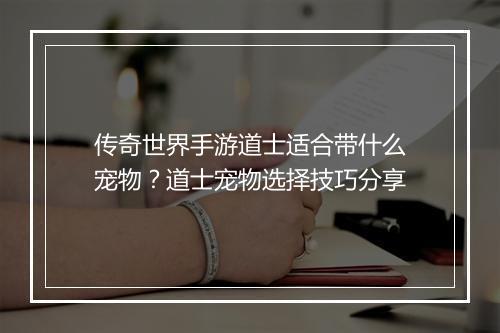 传奇世界手游道士适合带什么宠物？道士宠物选择技巧分享