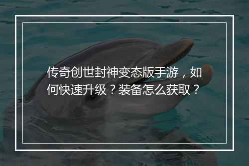 传奇创世封神变态版手游，如何快速升级？装备怎么获取？