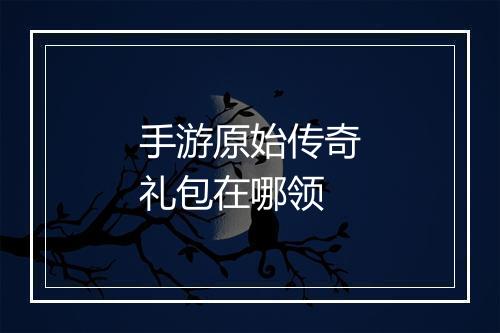 手游原始传奇礼包在哪领