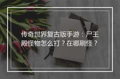 传奇世界复古版手游：尸王殿怪物怎么打？在哪刷怪？