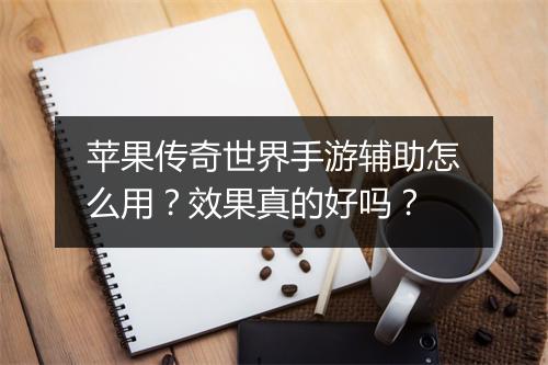 苹果传奇世界手游辅助怎么用？效果真的好吗？