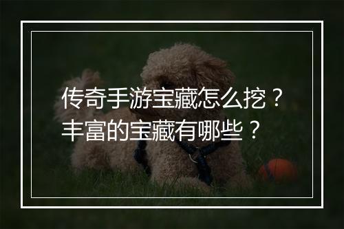 传奇手游宝藏怎么挖？丰富的宝藏有哪些？
