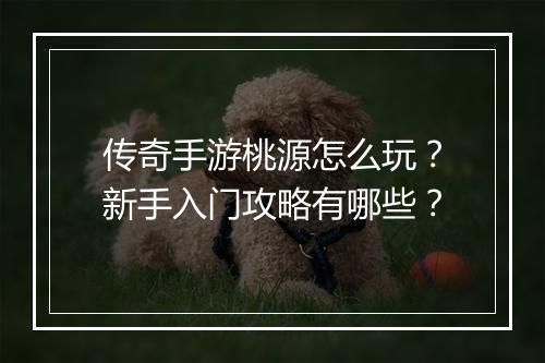 传奇手游桃源怎么玩？新手入门攻略有哪些？