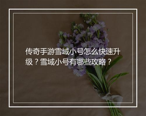 传奇手游雪域小号怎么快速升级？雪域小号有哪些攻略？