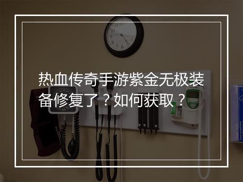 热血传奇手游紫金无极装备修复了？如何获取？