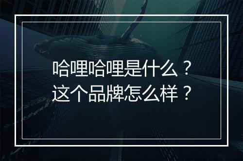 哈哩哈哩是什么？这个品牌怎么样？