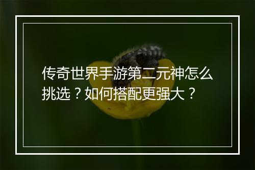 传奇世界手游第二元神怎么挑选？如何搭配更强大？