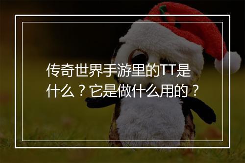 传奇世界手游里的TT是什么？它是做什么用的？