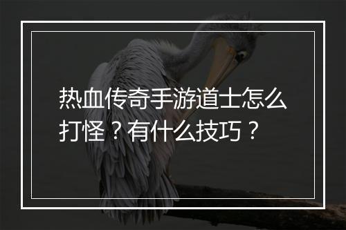 热血传奇手游道士怎么打怪？有什么技巧？