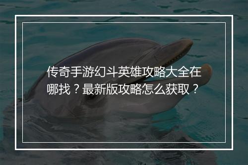 传奇手游幻斗英雄攻略大全在哪找？最新版攻略怎么获取？