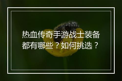 热血传奇手游战士装备都有哪些？如何挑选？