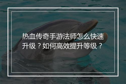 热血传奇手游法师怎么快速升级？如何高效提升等级？