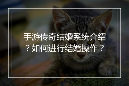手游传奇结婚系统介绍？如何进行结婚操作？