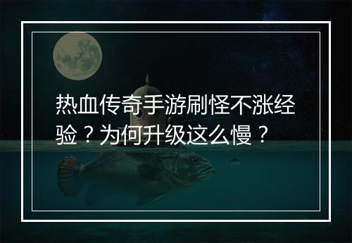 热血传奇手游刷怪不涨经验？为何升级这么慢？