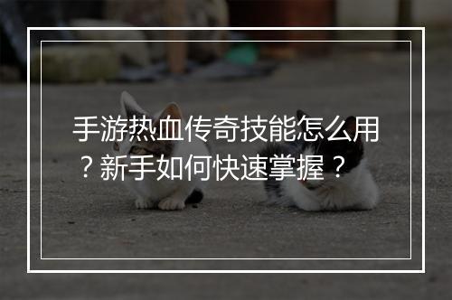 手游热血传奇技能怎么用？新手如何快速掌握？
