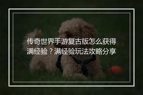传奇世界手游复古版怎么获得满经验？满经验玩法攻略分享